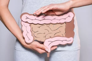 Leia mais sobre o artigo O que comemos influência na composição do nosso intestino?